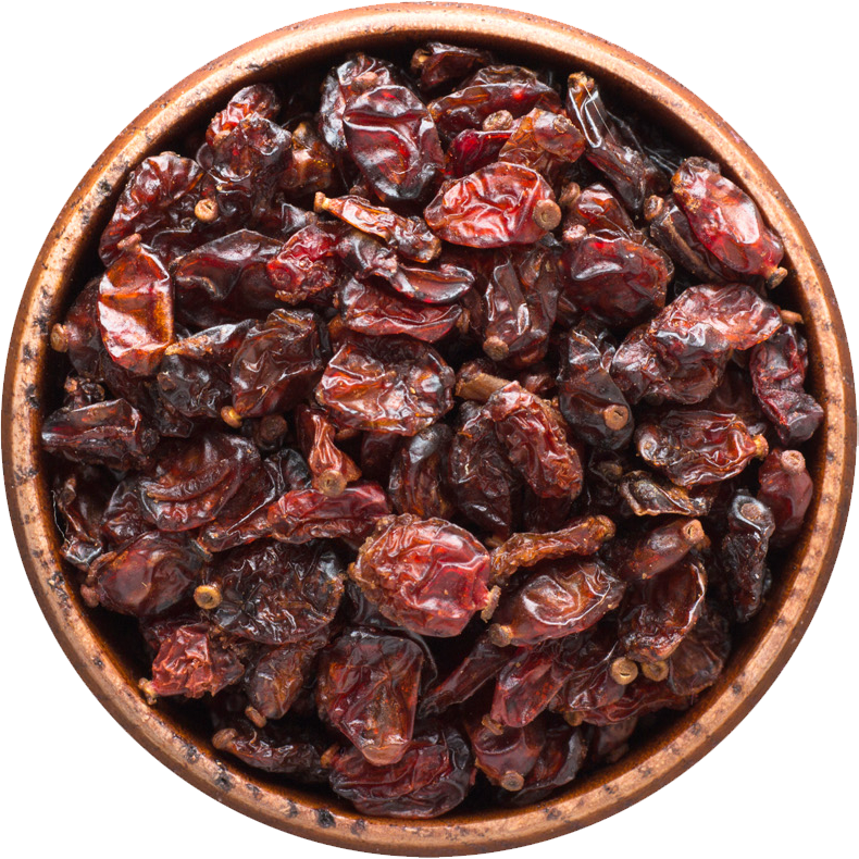 trockene-rote-Berberitze