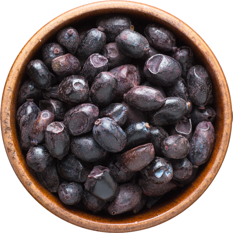 schwarze-Berberitze-getrocknet